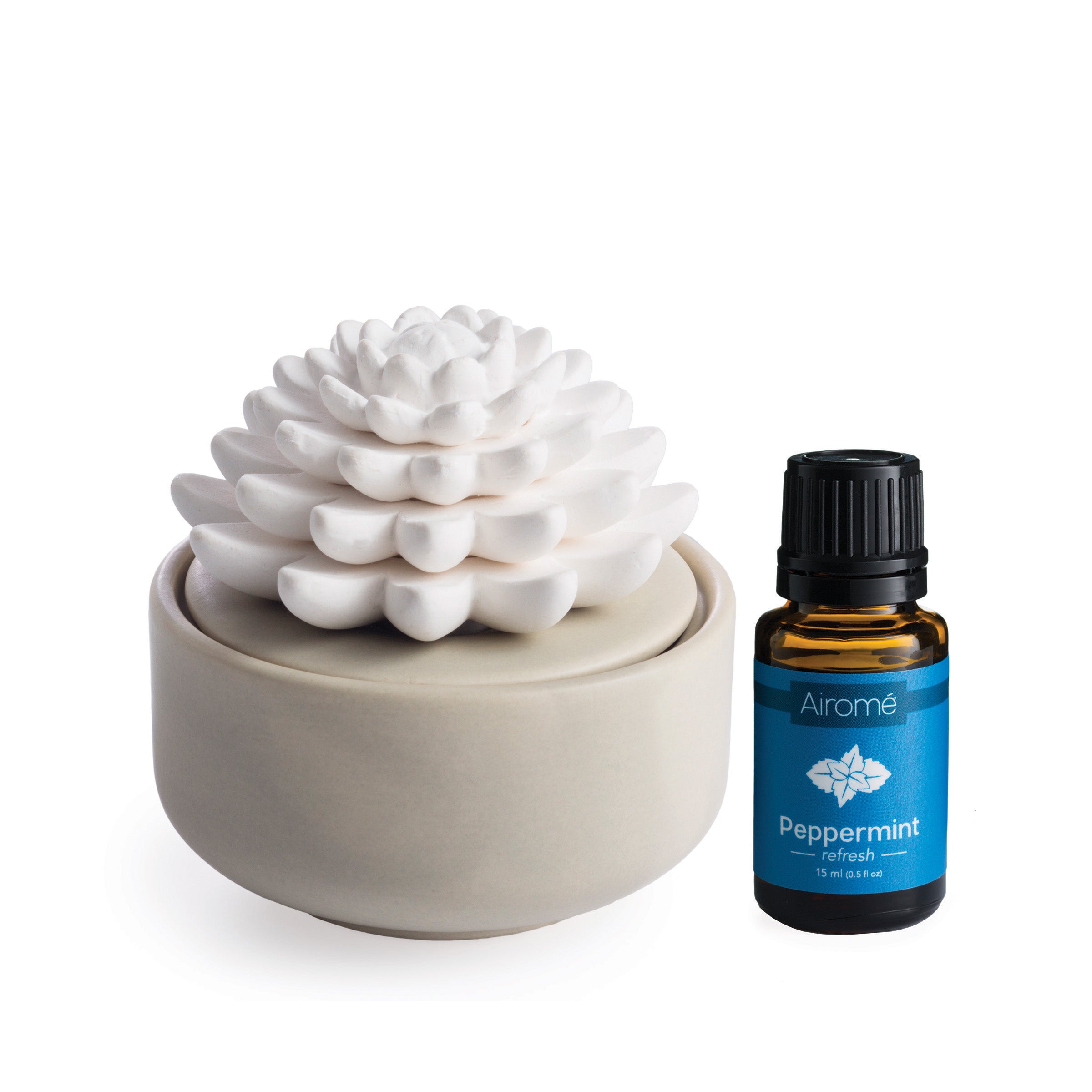 PORCELAIN ESSENTIAL OIL DIFFUSER SUCCULENT  + PEPPERMINT OIL